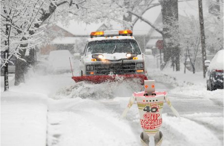 cuplamen neve